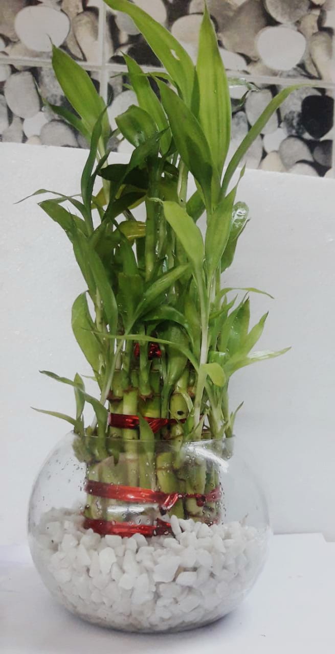 WhatsApp Image 2022-09-08 at 2.37.29 PM